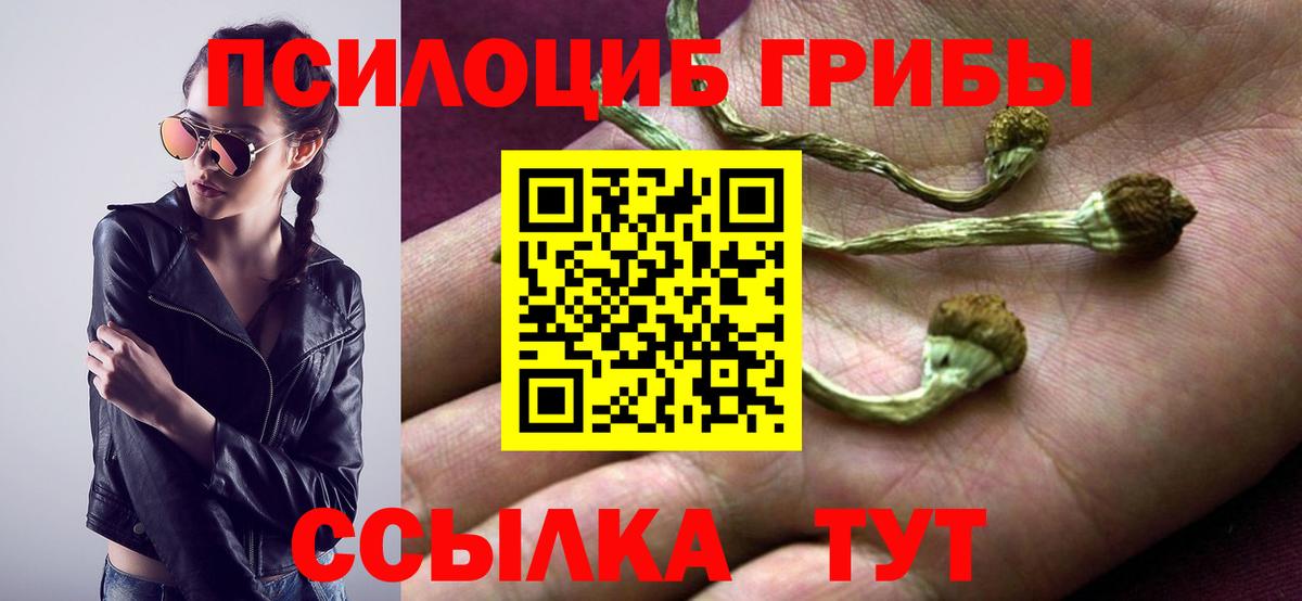 Урай  Псилоцибиновые грибы мицелий  Галлюциногенные грибы Psilocybine cubensis  Вход с VPN 